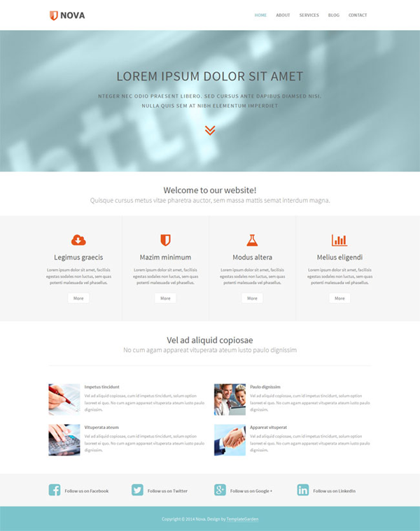 网络手机号免费版